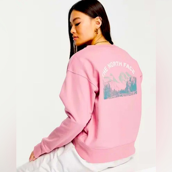 The North Face Sweaters - NEW 🌸 The North Face Women’s Outdoor Together Crew Top size Large L Pink